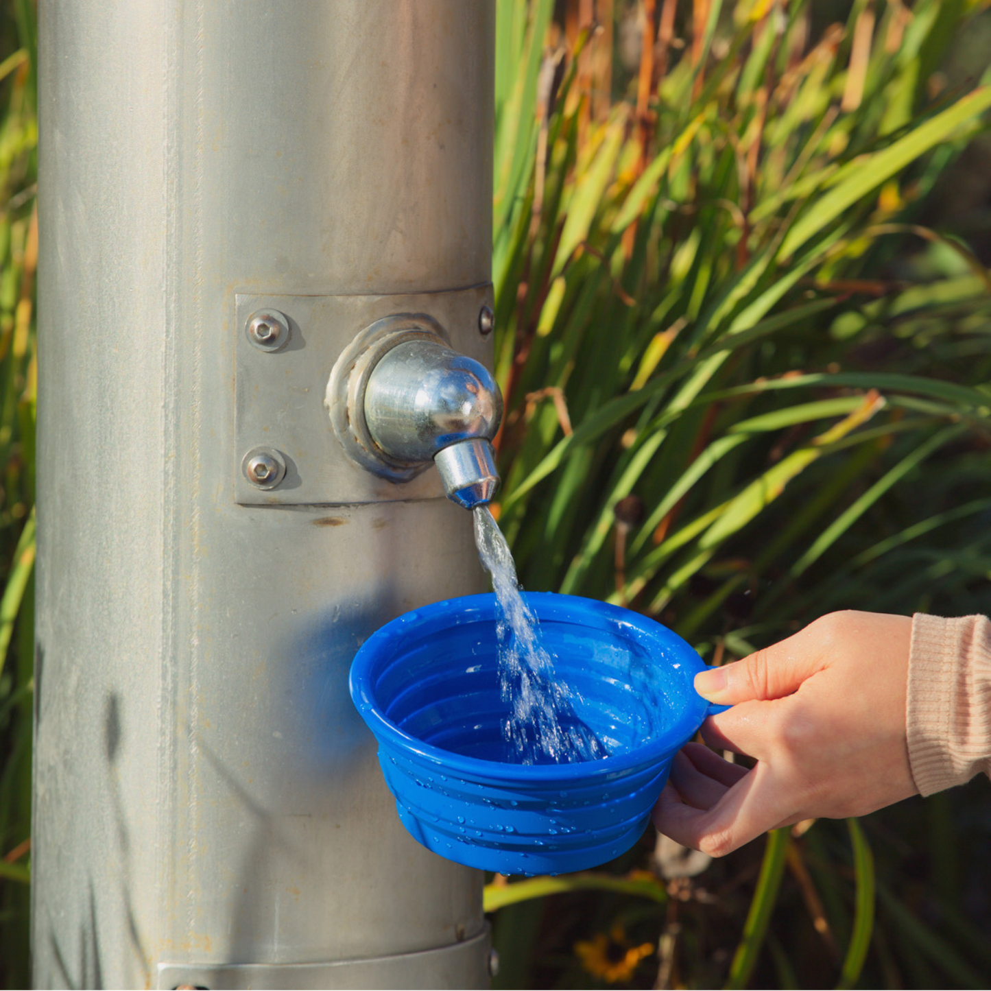 Collapsible Dog Bowl