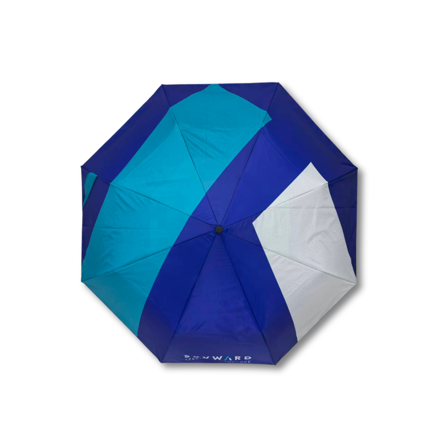 Skyward Umbrella